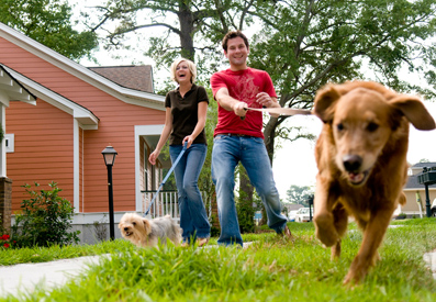 A photo of new homeowners walking a dog, similar to many clients who depend on us for Home Insurance in Chicopee MA