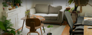 A Renters Insurance Header Photo of a Living Room Area